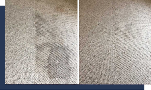 Stain Before And After